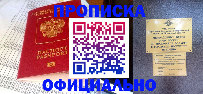 прописка от собственника в Лесозаводске